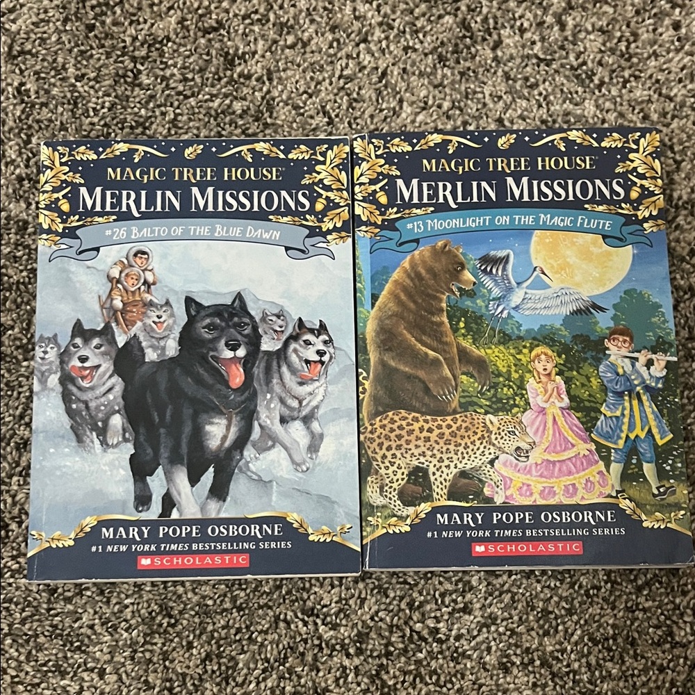 Magic tree house book Merlin mission